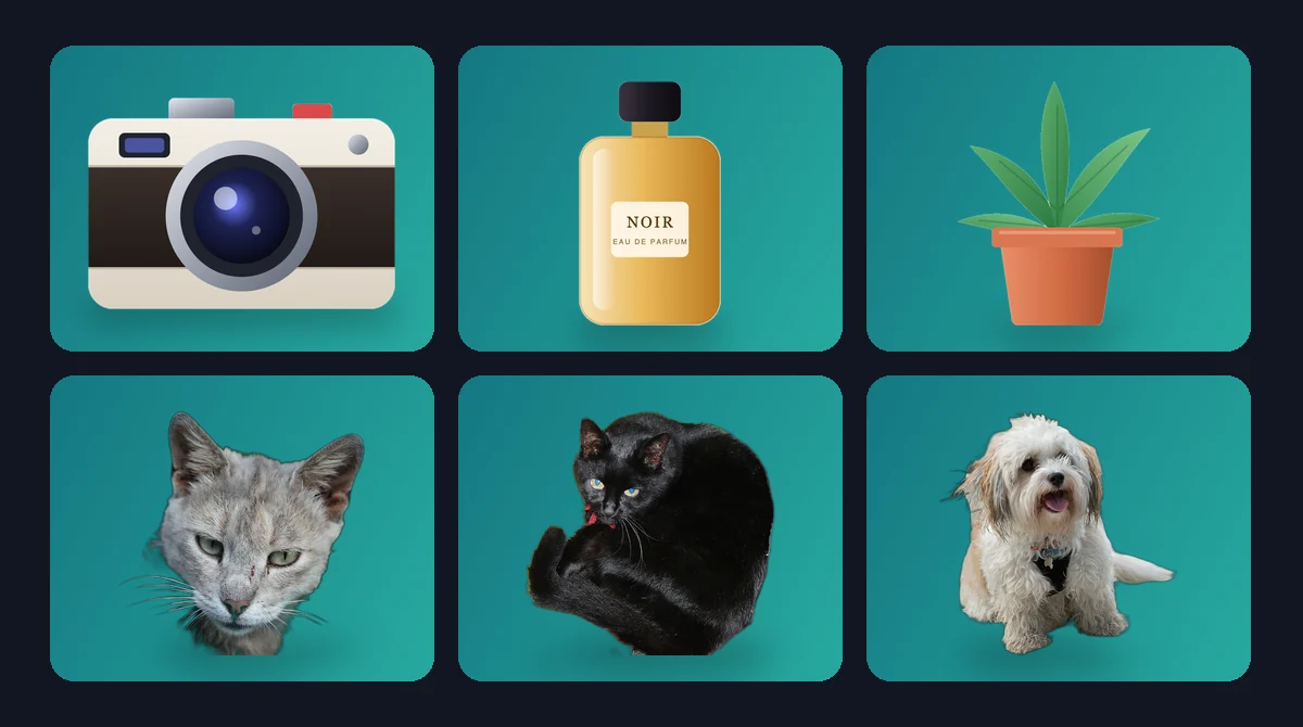 Six photos, including products, two cats and a dog, all placed on the same teal background