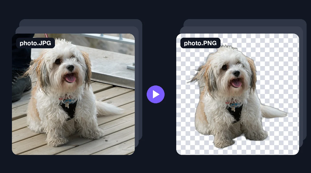 A JPG photo of a small fluffy dog on a deck next to the same dog cut out as a transparent PNG