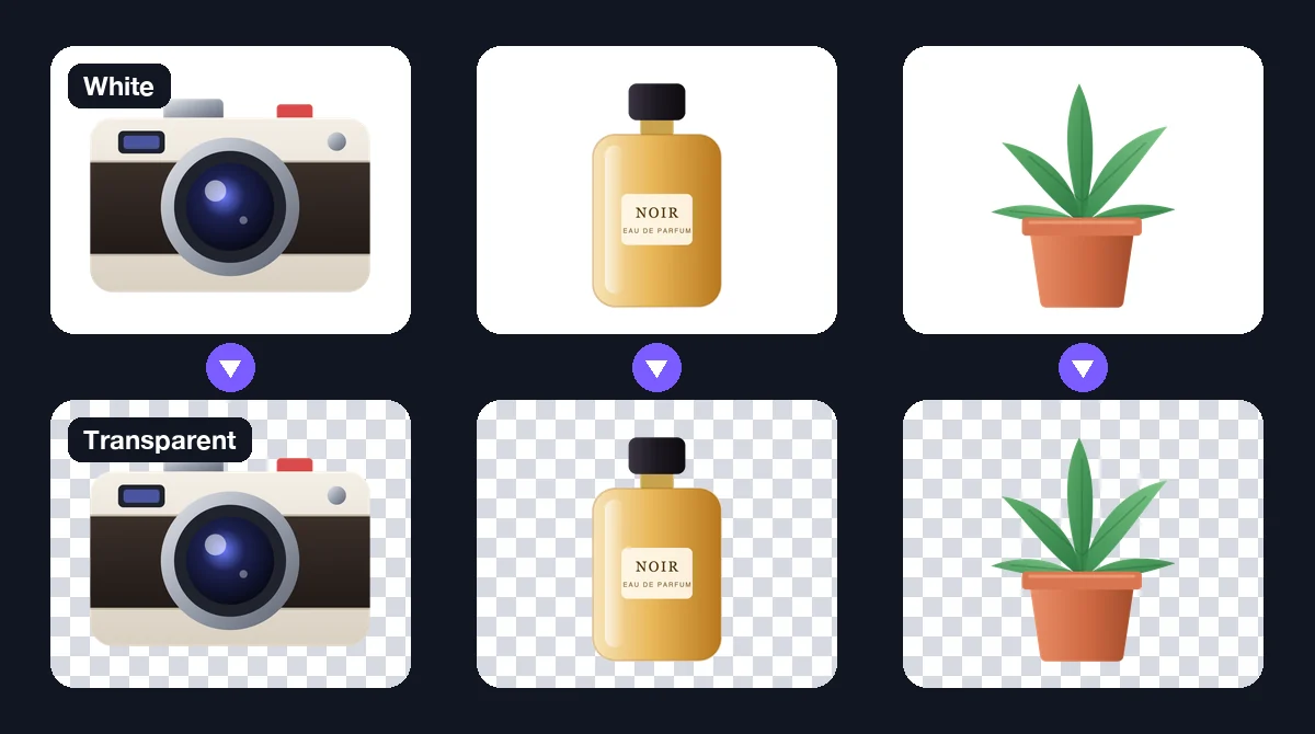 A camera, a perfume bottle and a plant on white backgrounds, and below them the same three items on transparent backgrounds